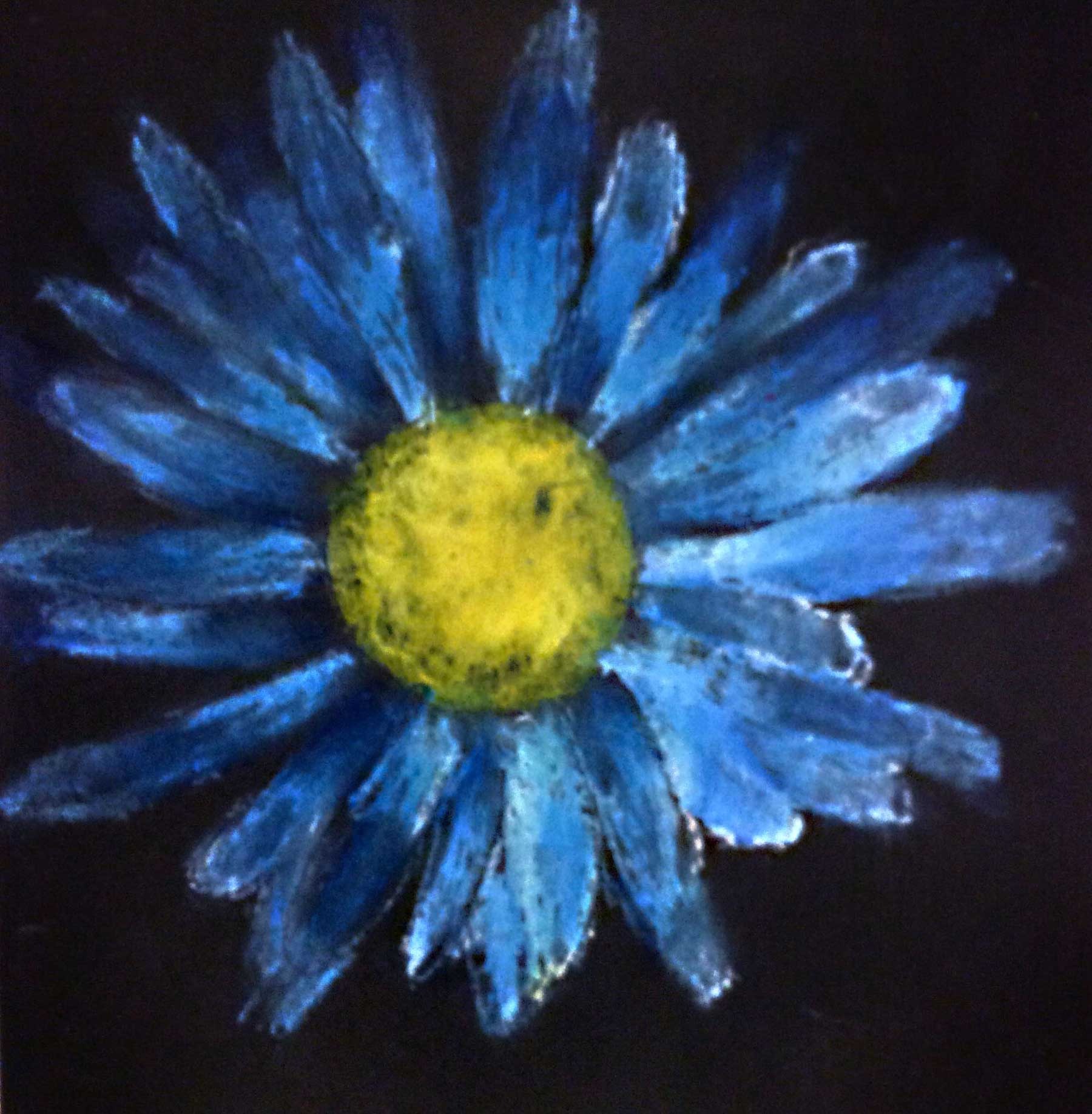 Blue Night Flower, Vitalina_Yurchenk, 6th grade