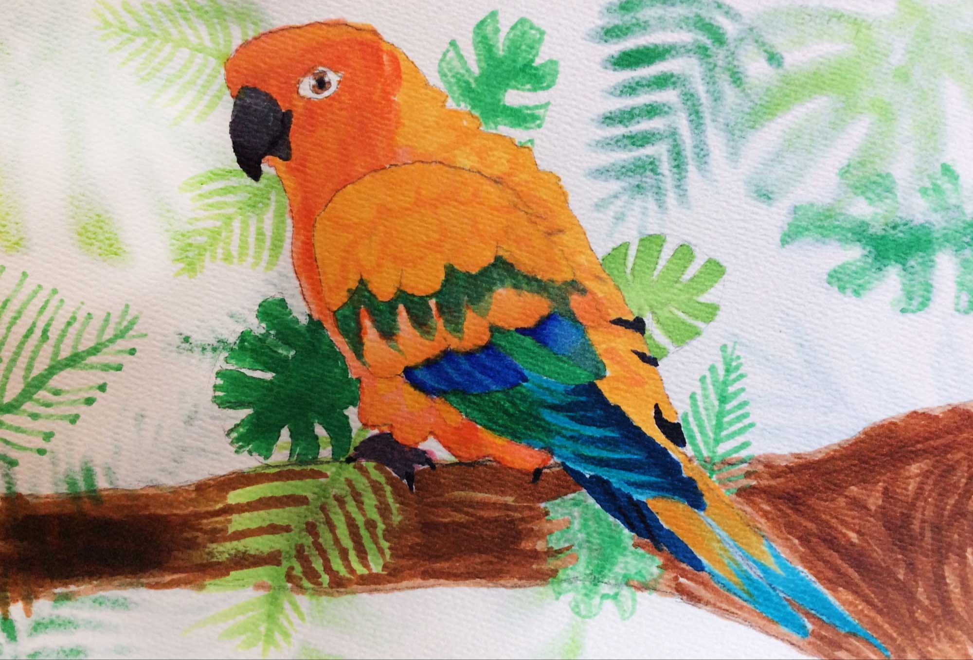Parrot in the jungle, Soraya Harris, 8th grade