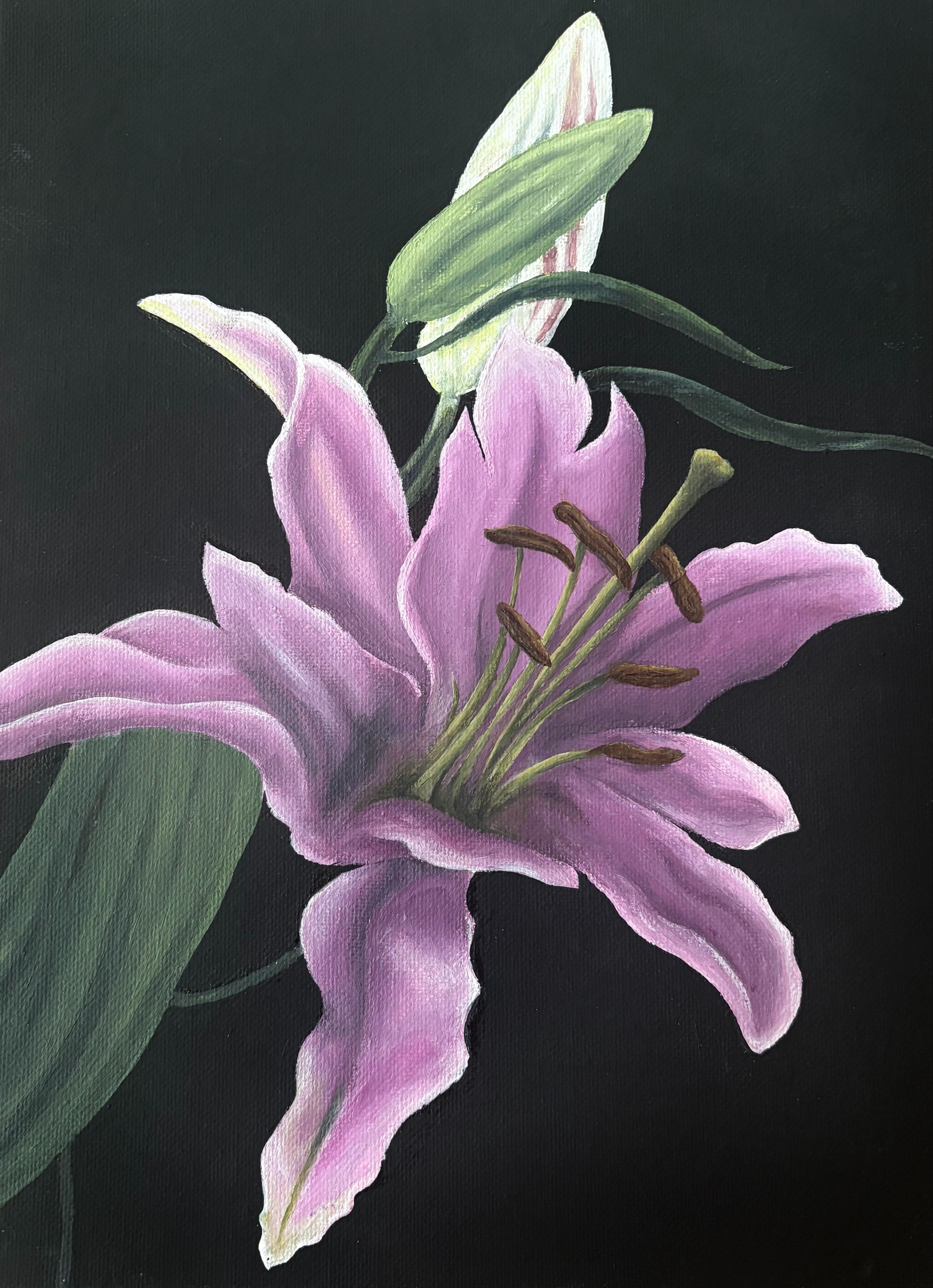 Lillies 2, Jacey Opdahl, 12th grade, BGHS