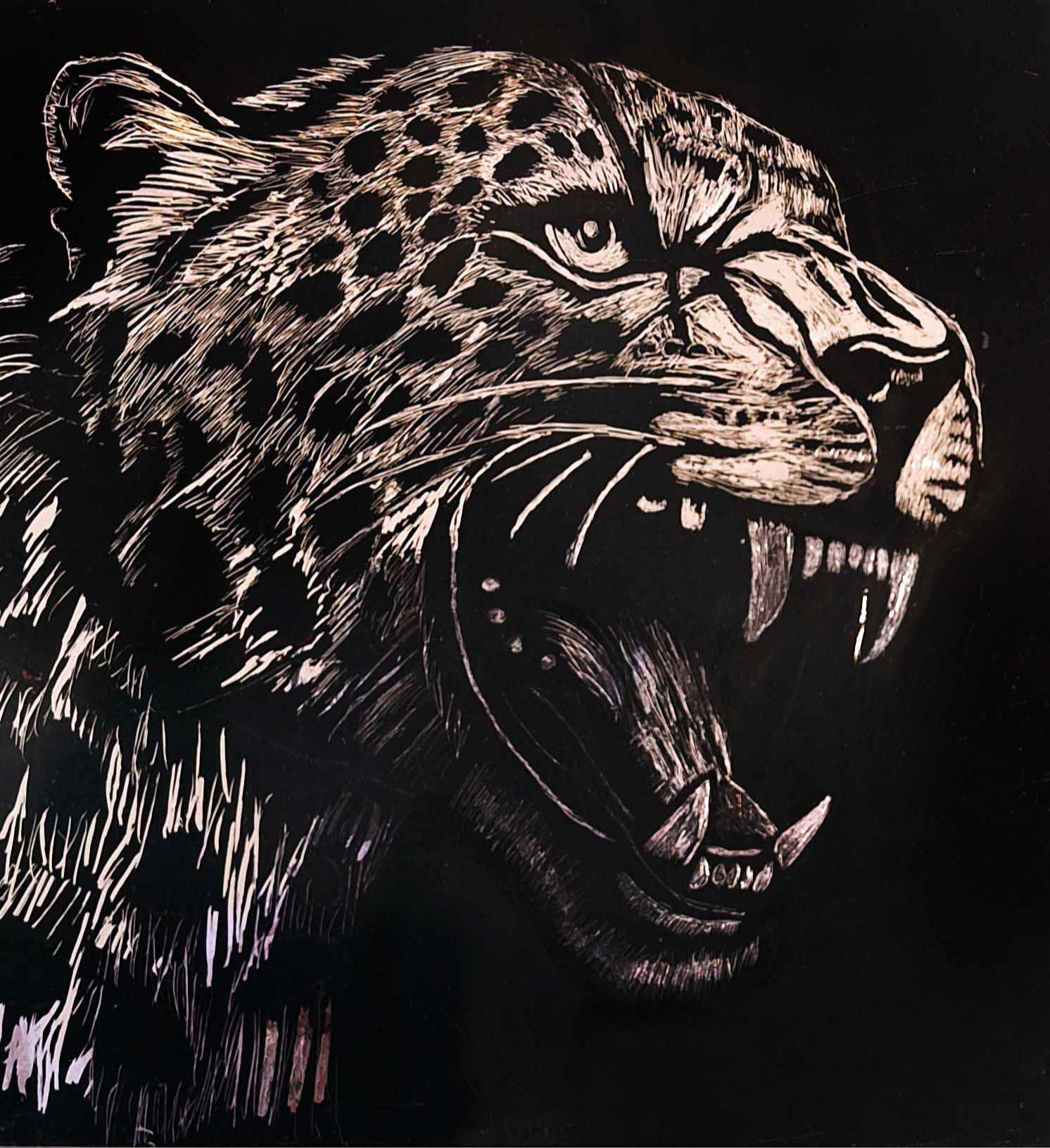 The Leopard, Bo Massie, 7th grade