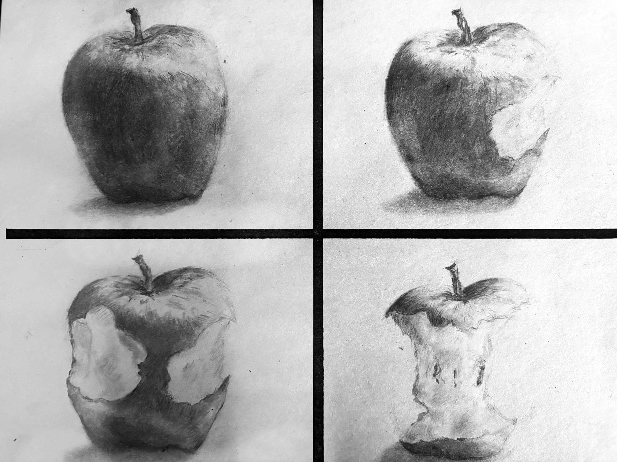 Apple in Four Views, Kaia-Lynn Quinata, 8th grade, LMS