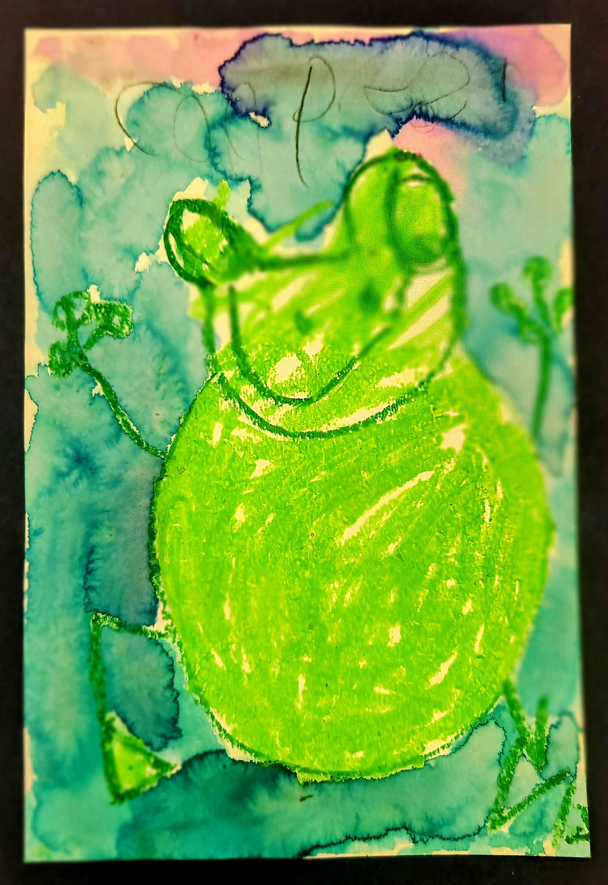 Froggy, Cooper Broders, Transitional Kindergarten, DBP