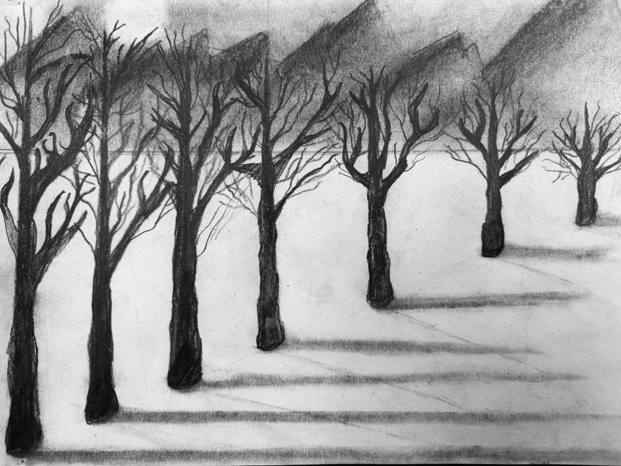 Winter Trees, Norah Allred, 6th grade, LMS