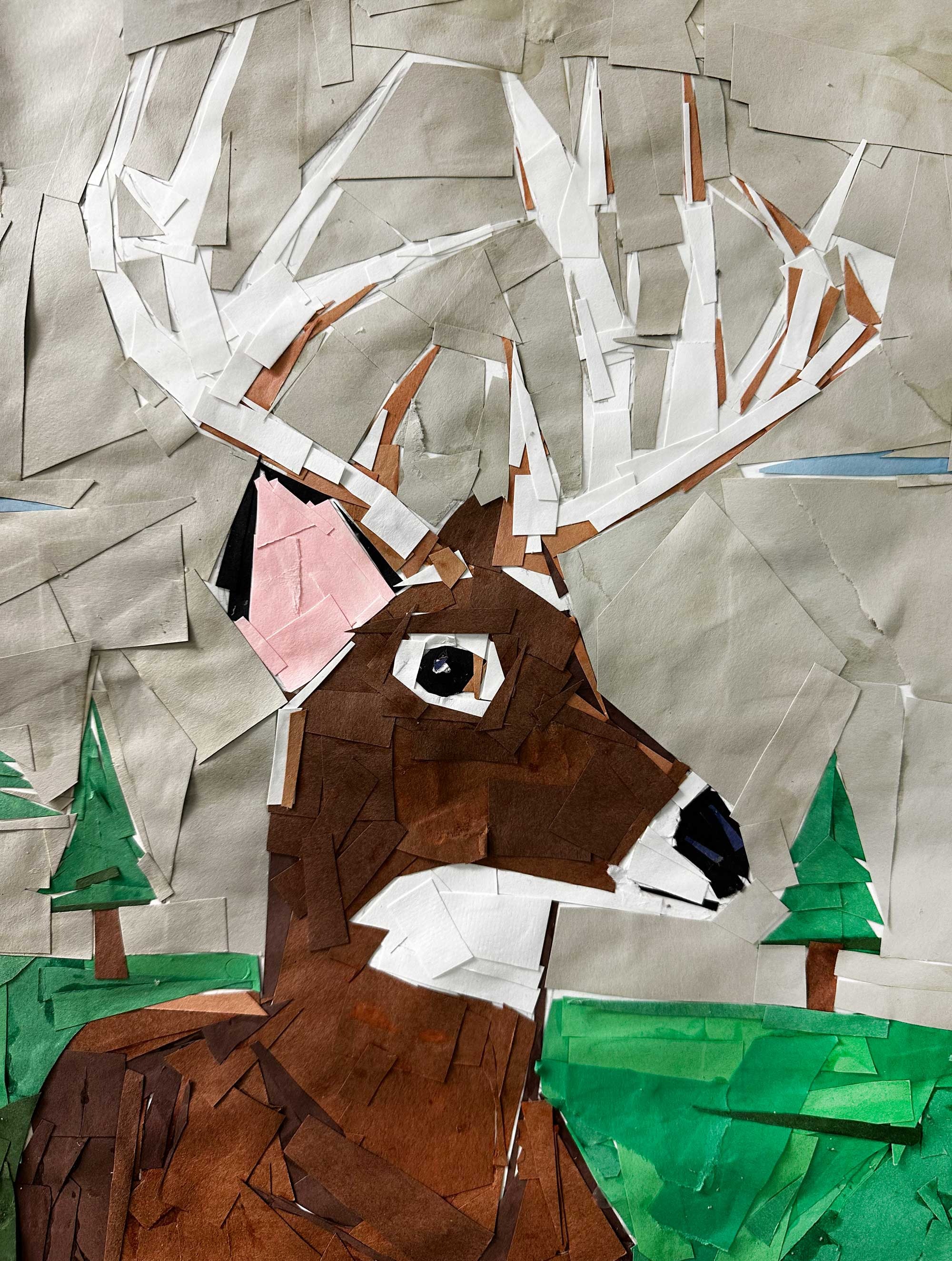 Deer, Carter Tormanen, 7th grade, PVM