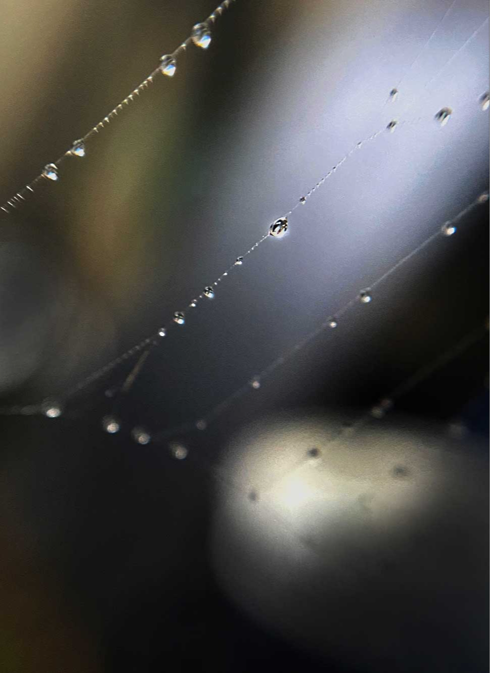 Water Drops, Devin Somics, 11th grade, BGHS