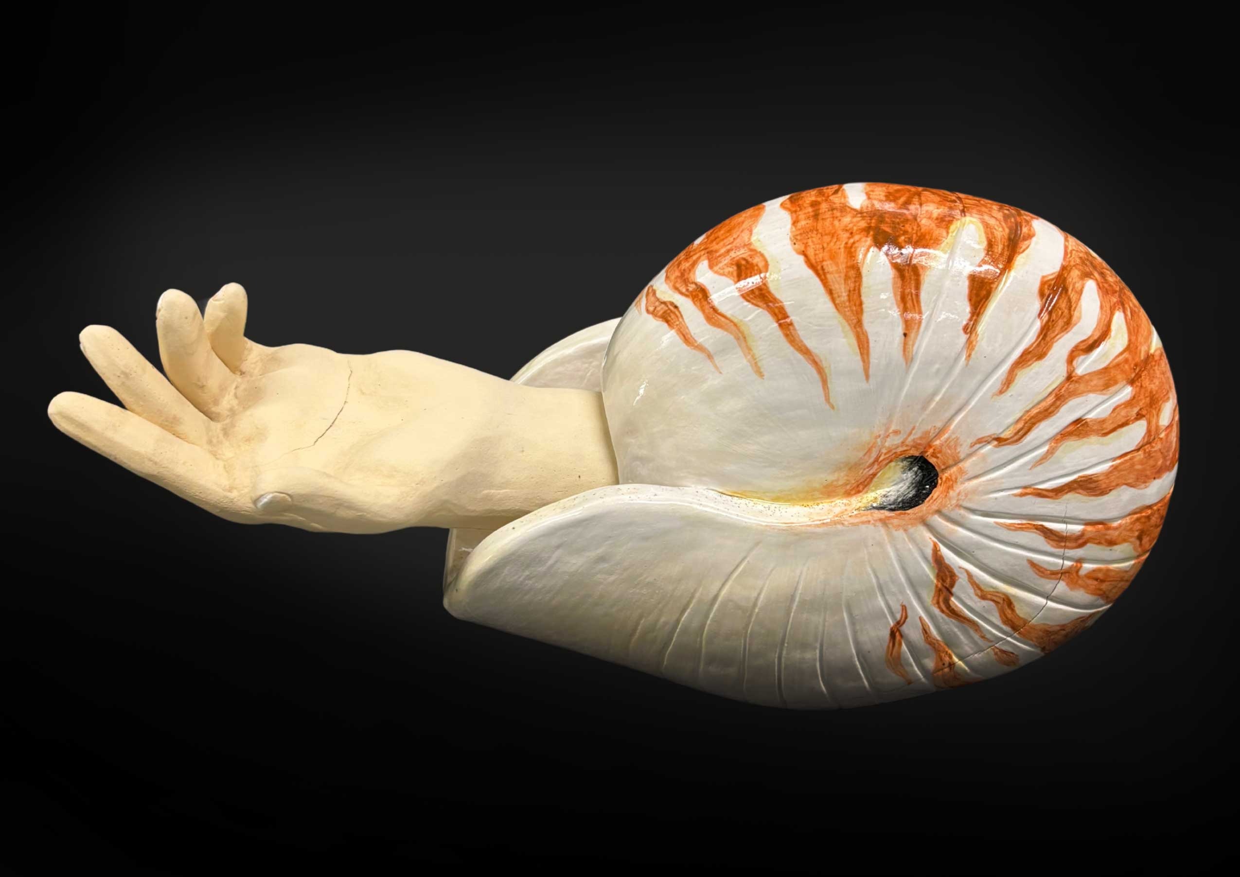 Nautilus, Luke Jordan, 12th grade, PHS