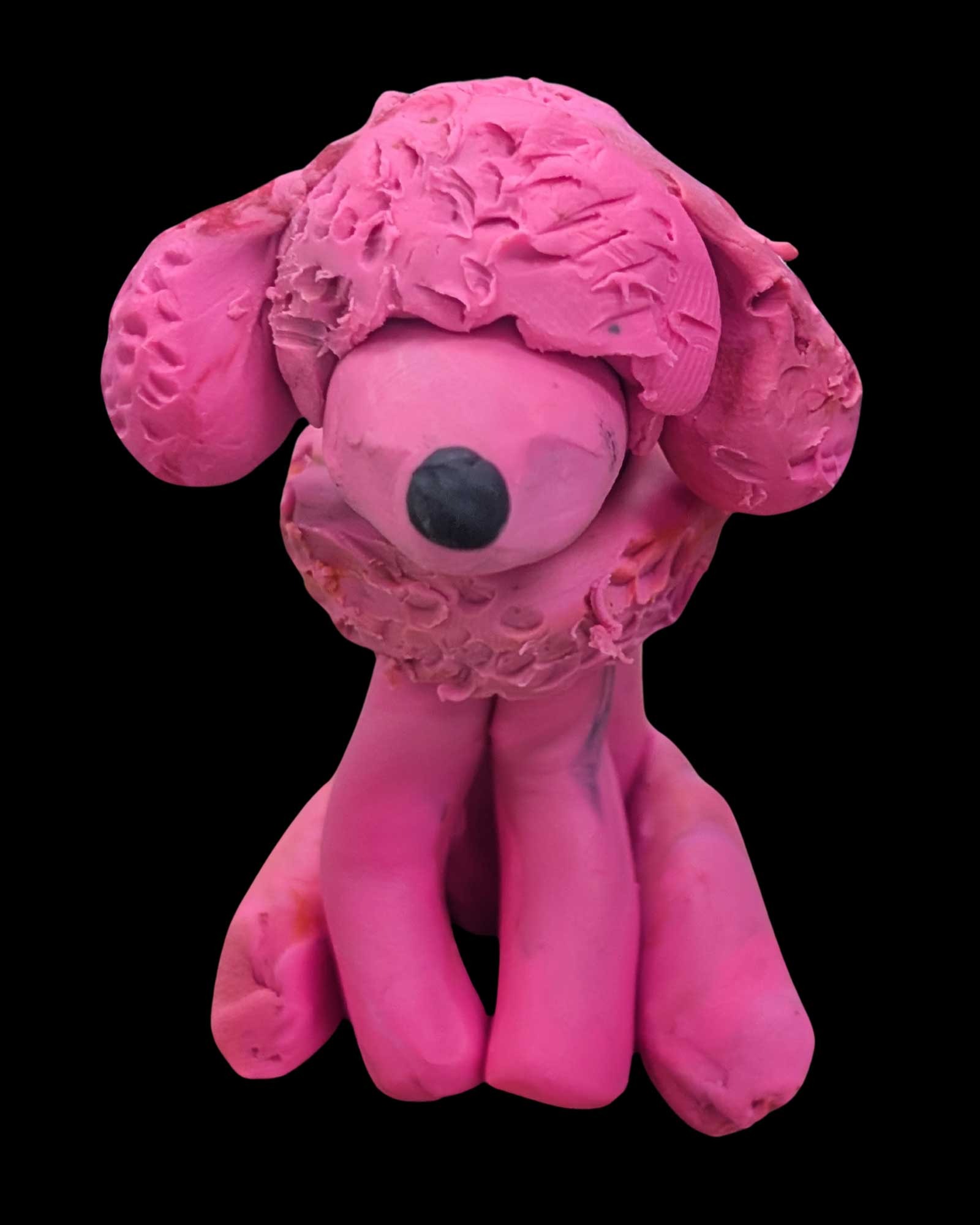 Pink Poodle, Eva Rosales Carrillo, 3rd grade, PVP