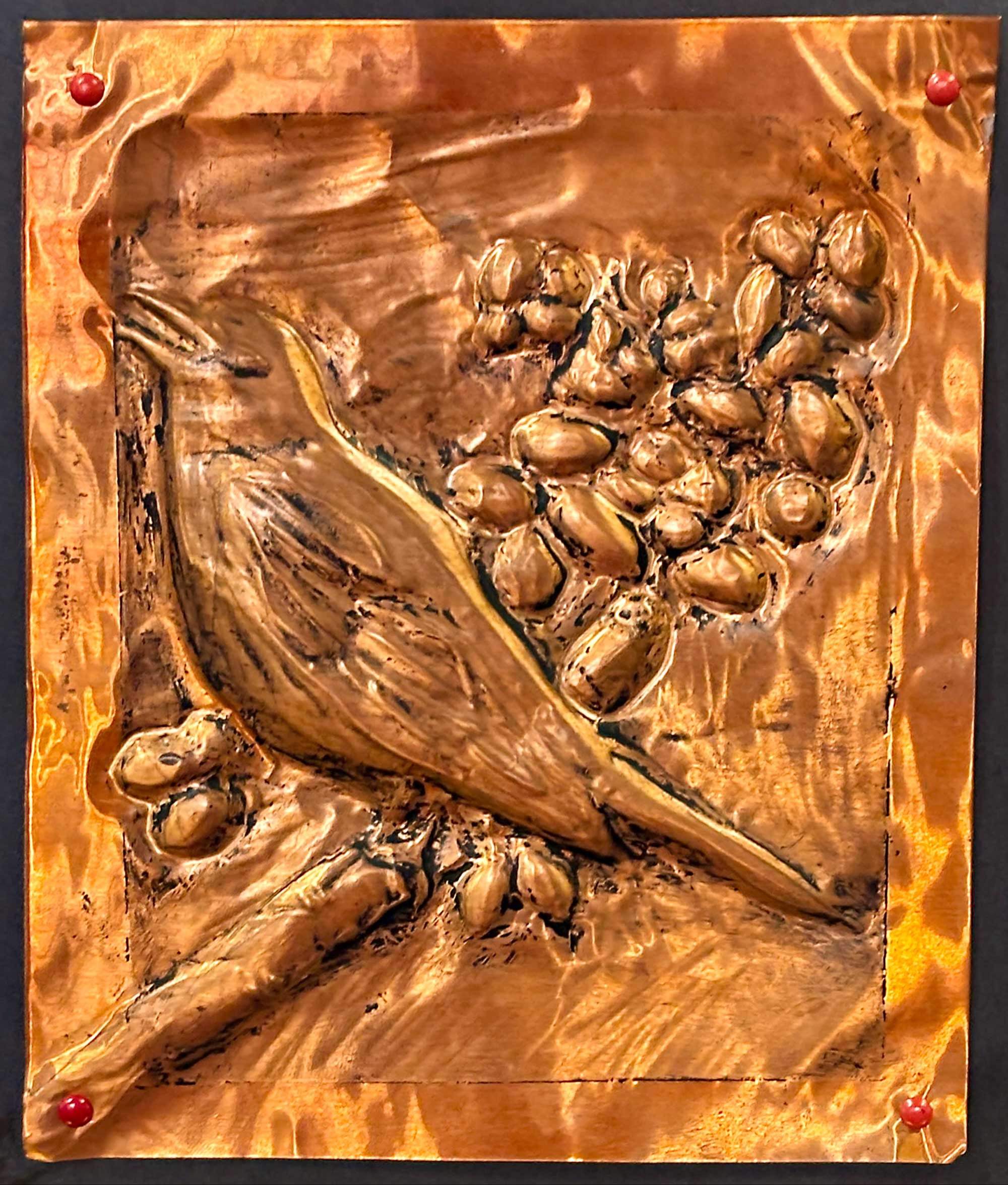Birdwatching, Lucas Stenerson, 7th grade, RHL