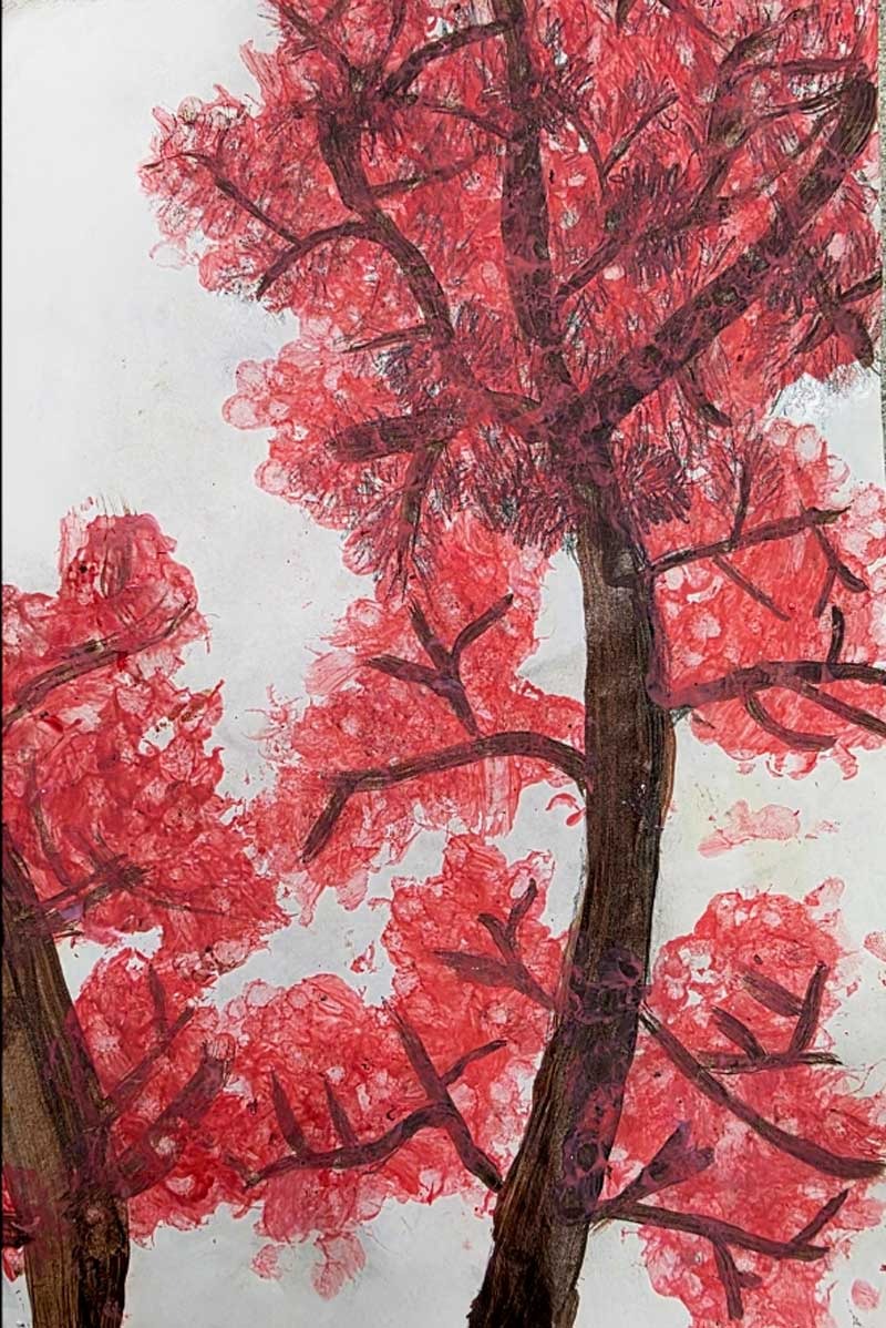 The Cherry Blossom, Vaverlyn Hughes, 4th Grade, MGP