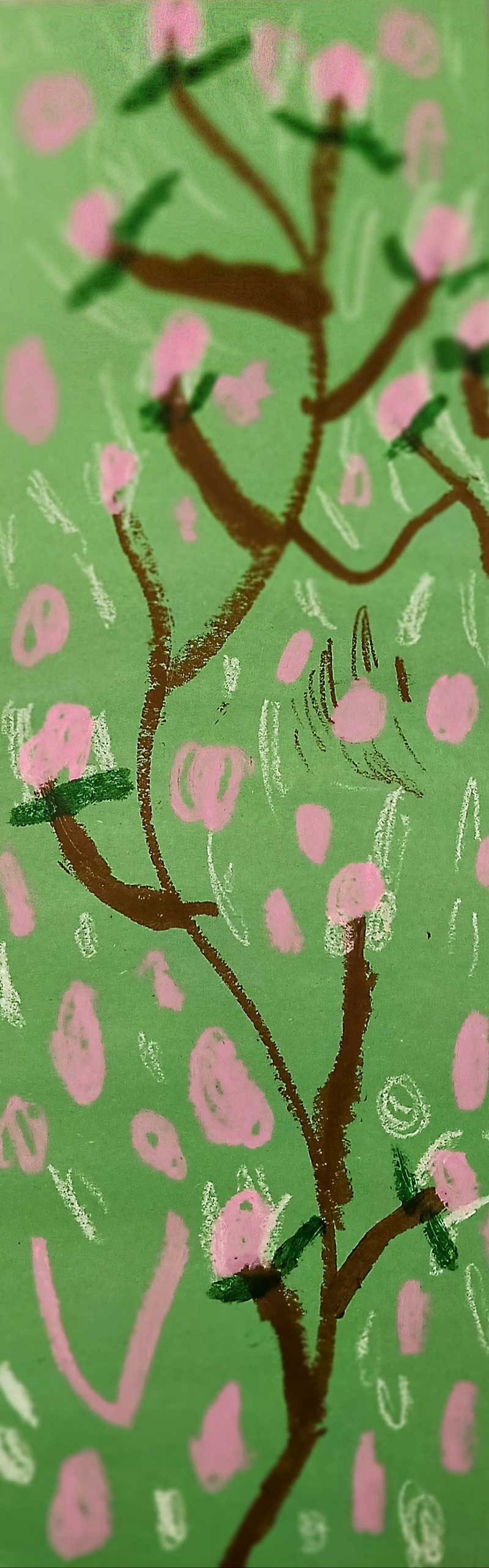 Cherry Blossom, Harper Warricks, Kindergarten, DBP