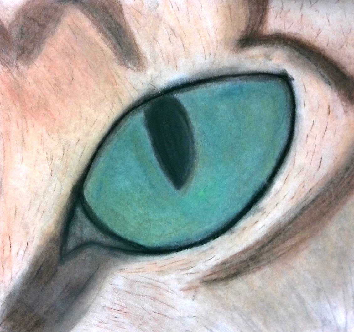 Cat Eye, Marlie Pruett, 7th grade, DBM
