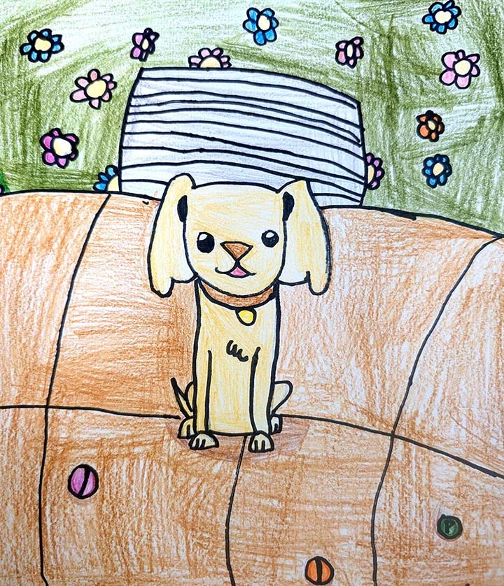 Puppy Love, Violet Paul, 3rd Grade, PVP