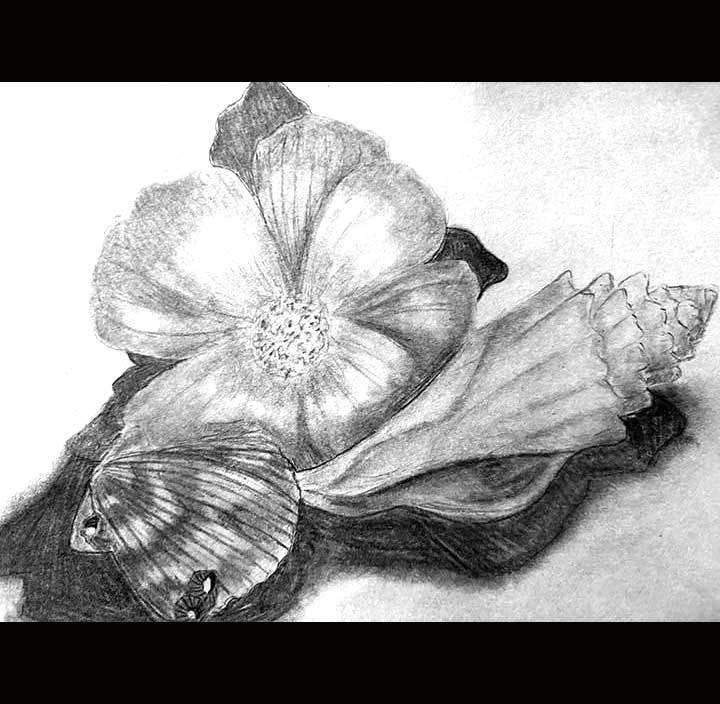 Flower by the Seashells, Selena Nguyen, 7th grade, LMS
