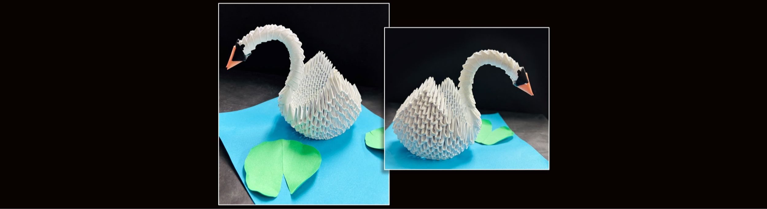 The Paper Swan, Niko Unasa, 7th grade