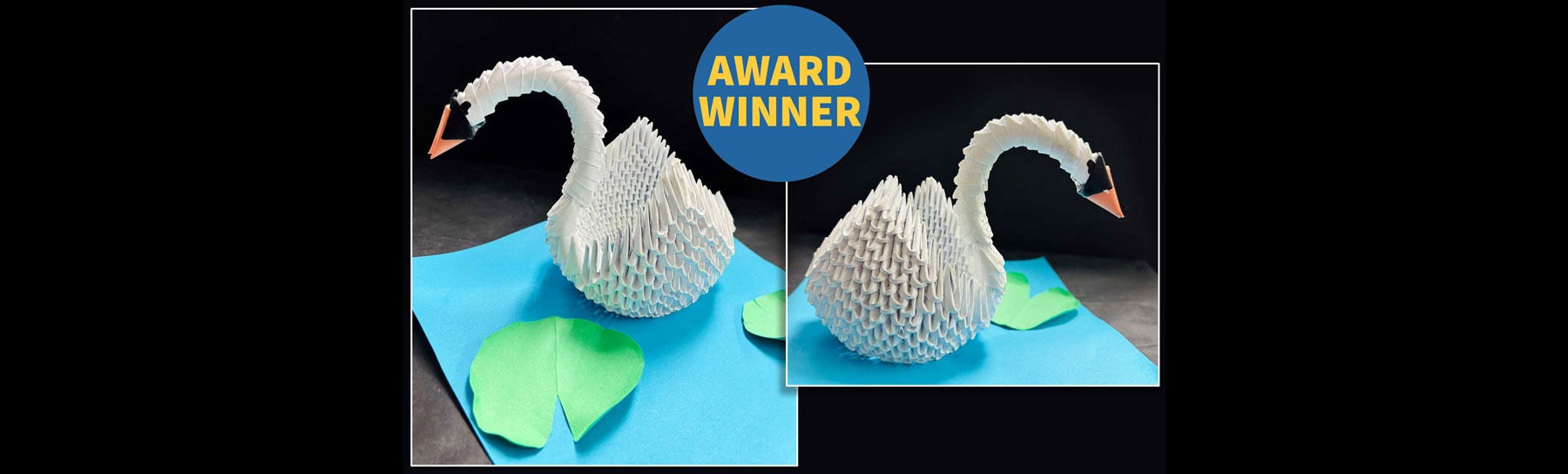 The Paper Swan, Niko Unasa, 7th grade
