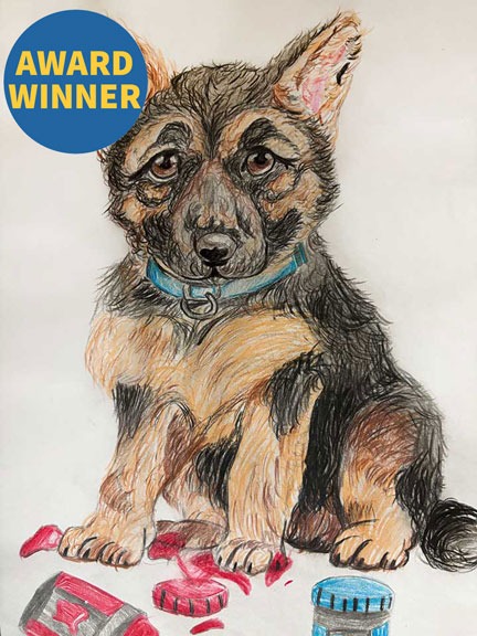 Paws and Paint, Viteliya Akhmedova, 6th grade