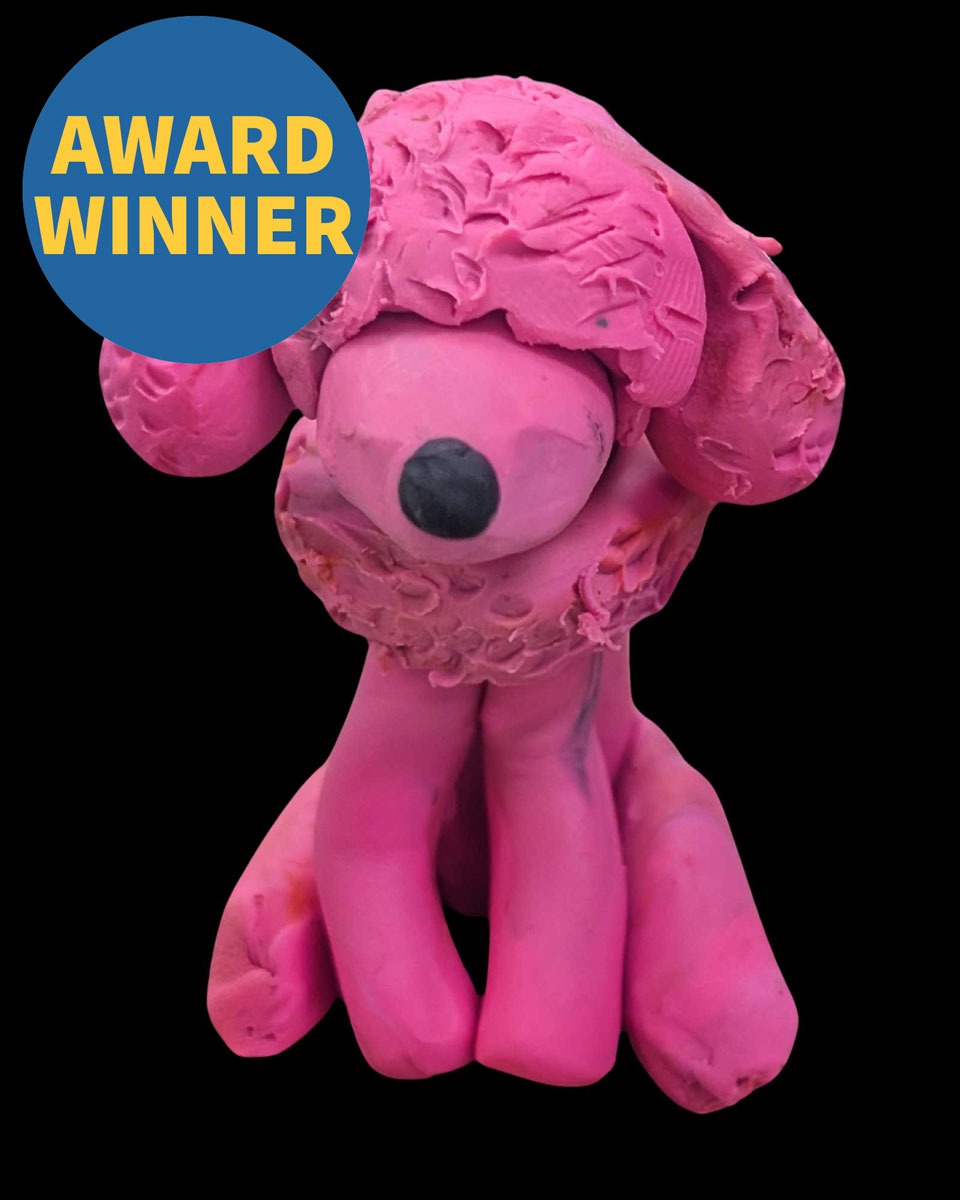 Pink Poodle, Eva Rosales Carrillo, 3rd grade, PVP