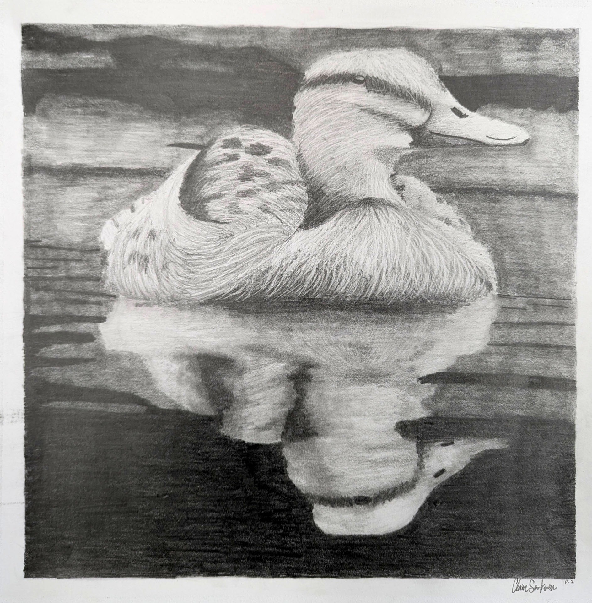 Claire Sarkinen, Reflections, 11th grade, BGHS, teacher Tamra Galles