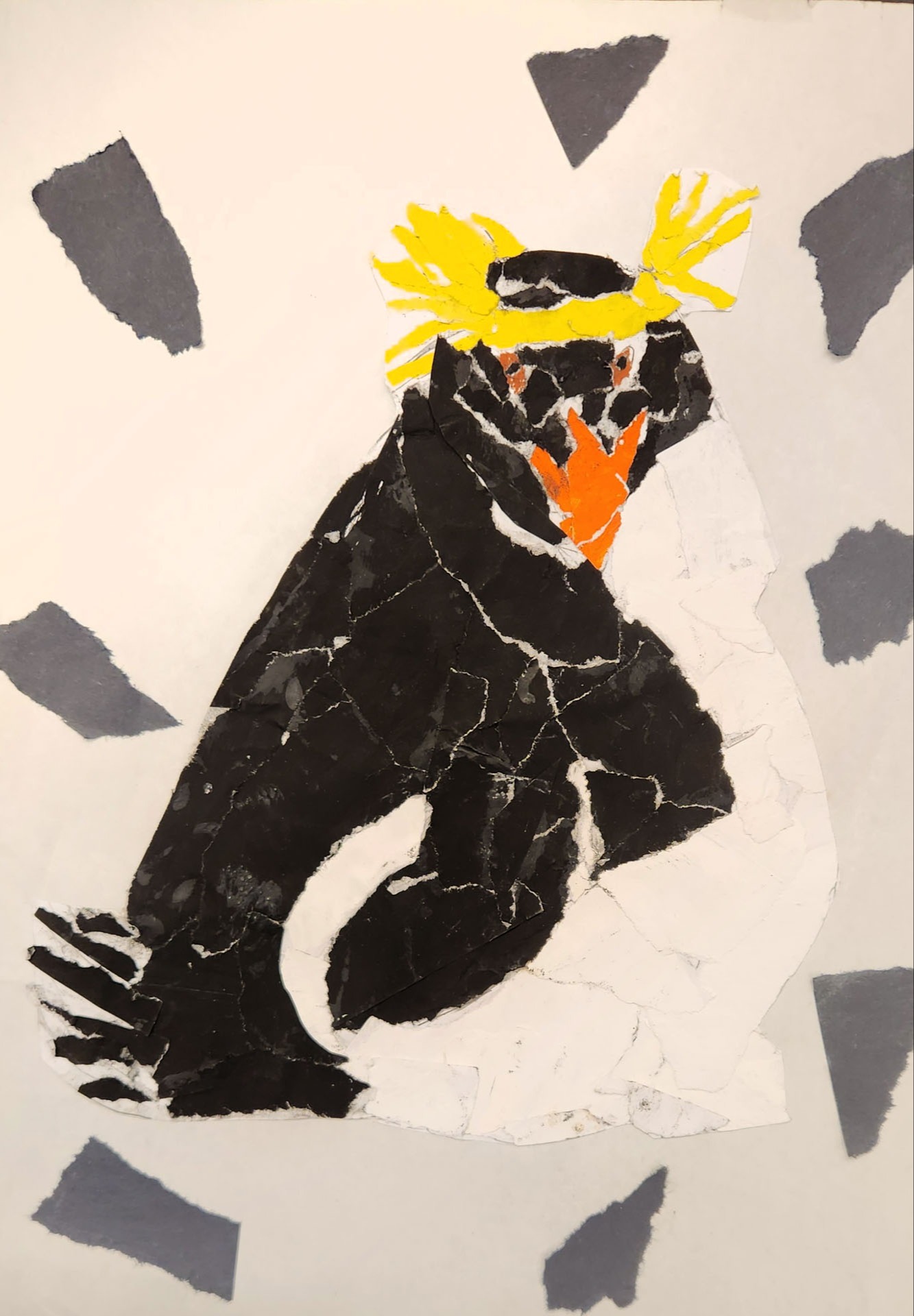 Damon Clark, Penguin, 6th grade, Chief Umtuch Middle, teacher Ron Wagner
