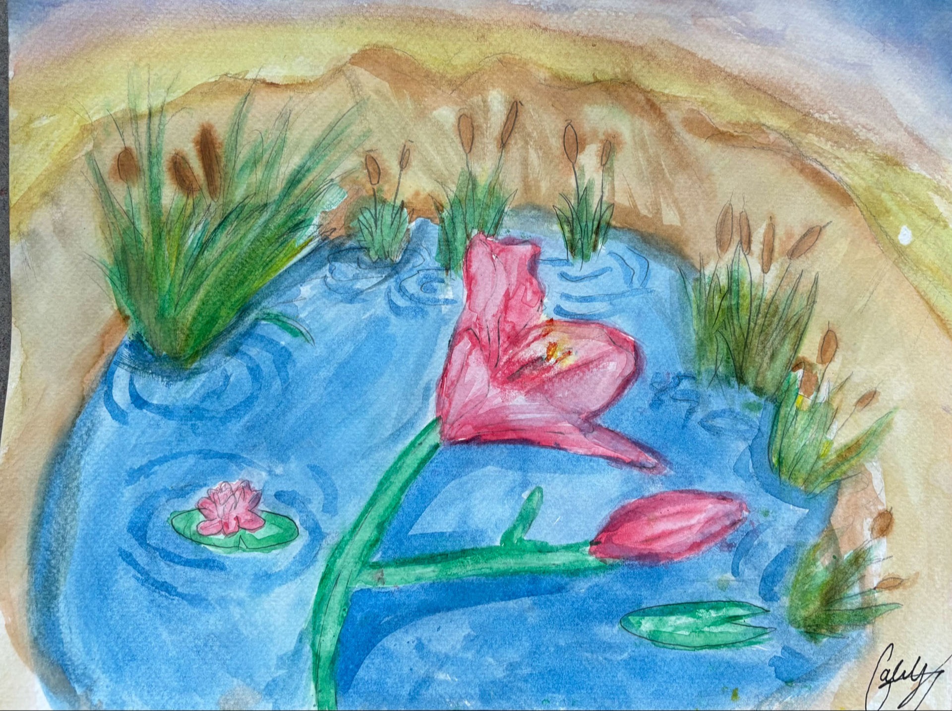 Gabriella Hernandez, Lily Pond, 7th grade, DBM, teacher Avery France