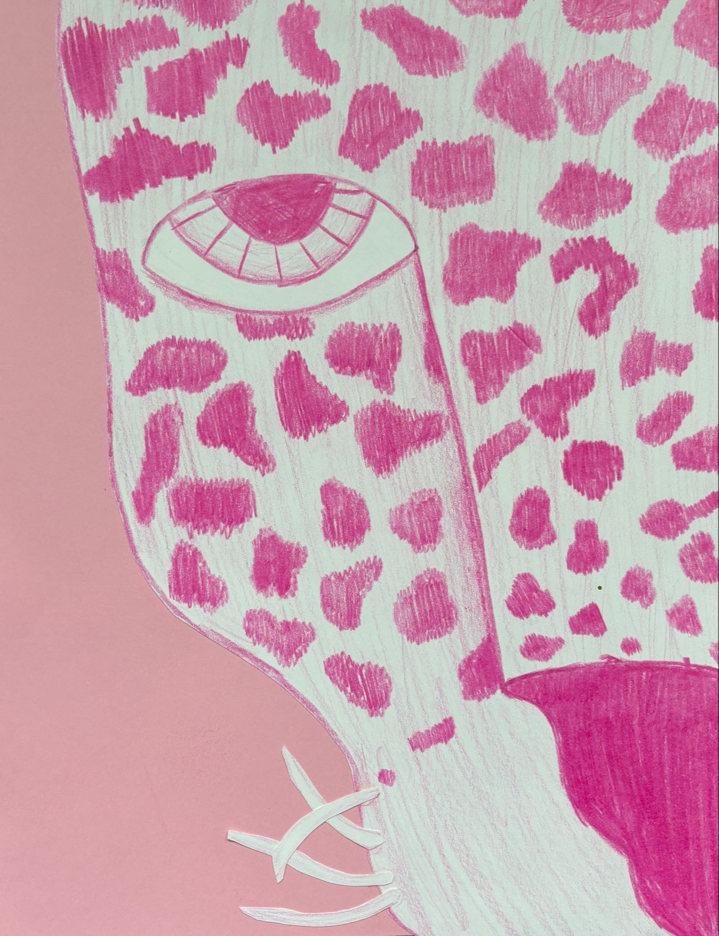 Joelle Stewart, Pink Leopard, 6th grade, DBM, teacher Avery France