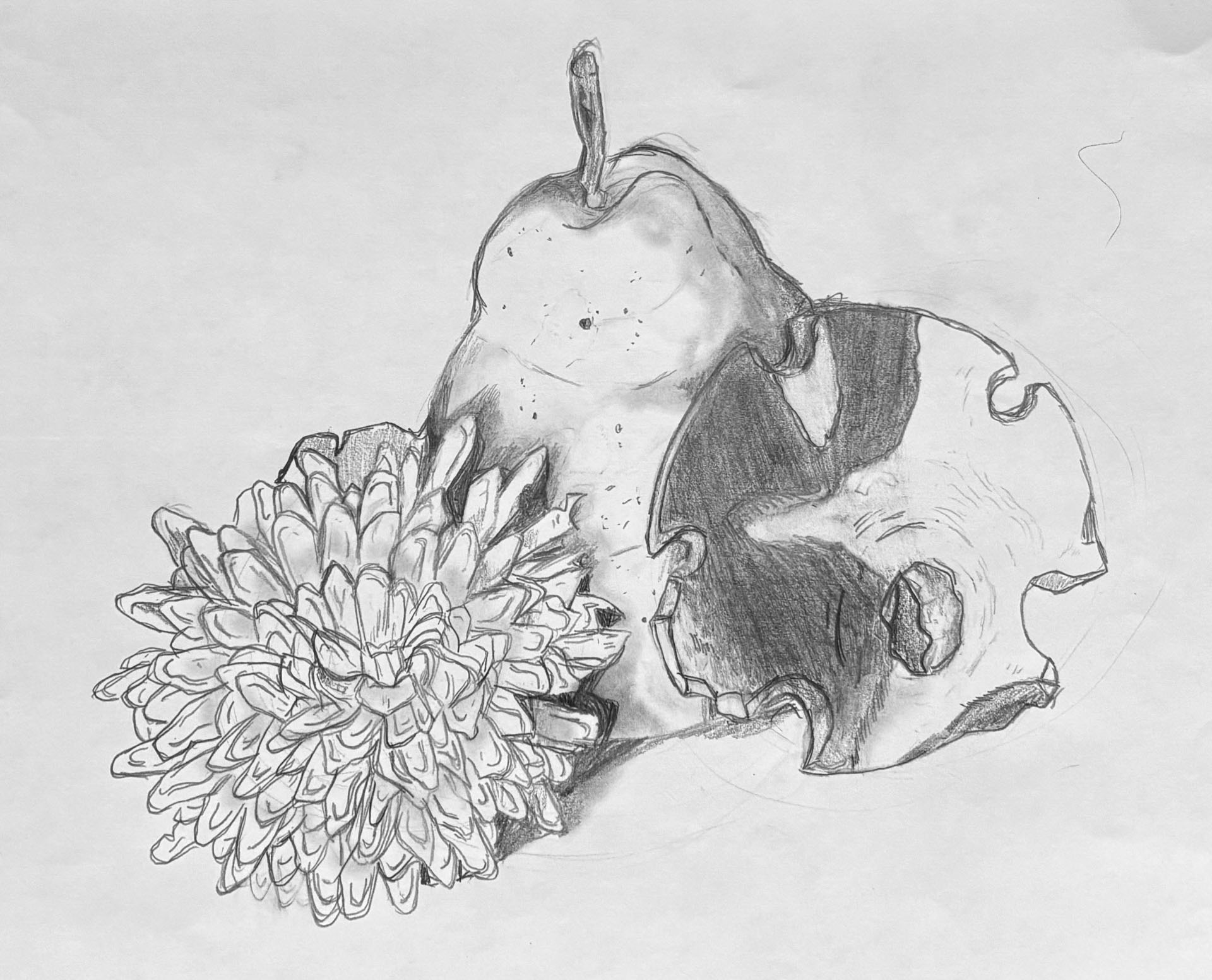 Maximus Uchaykin, Nature, 7th grade, DBM, teacher Avery France