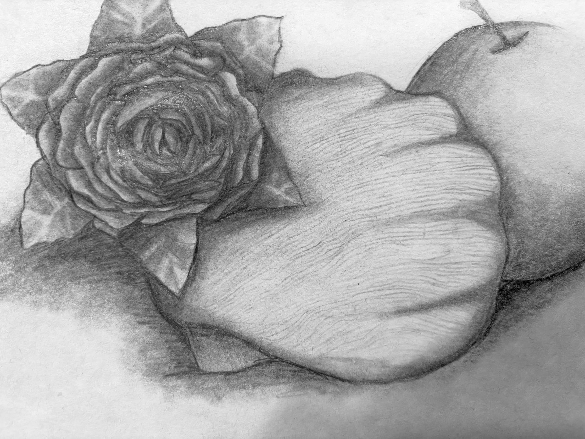 Amelia Kapsch, Shells-n-Roses, 7th grade, LMS, teacher Tanya Bachman