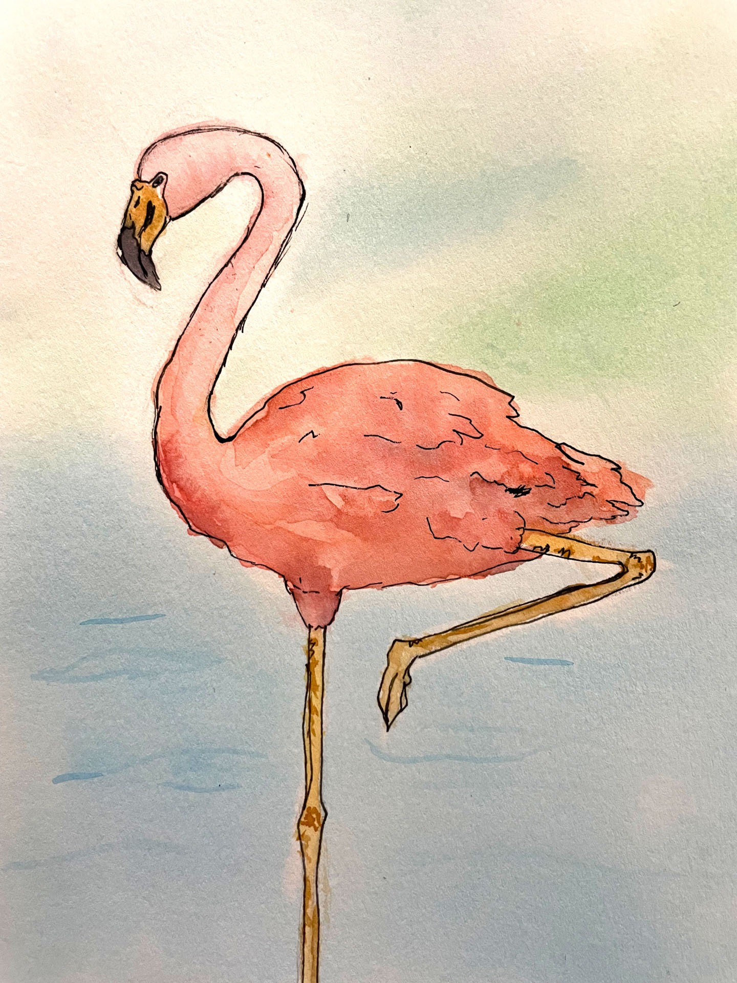 Dani Scheuble, Watch Your Step, 8th grade, LMS, teacher Tanya Bachman