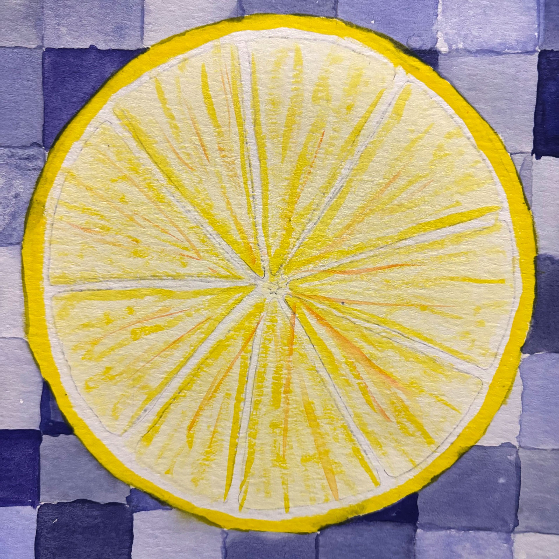 Natali Ivandize, Complementary Citrus Fruit, 7th grade, LMS, teacher Tanya Bachman