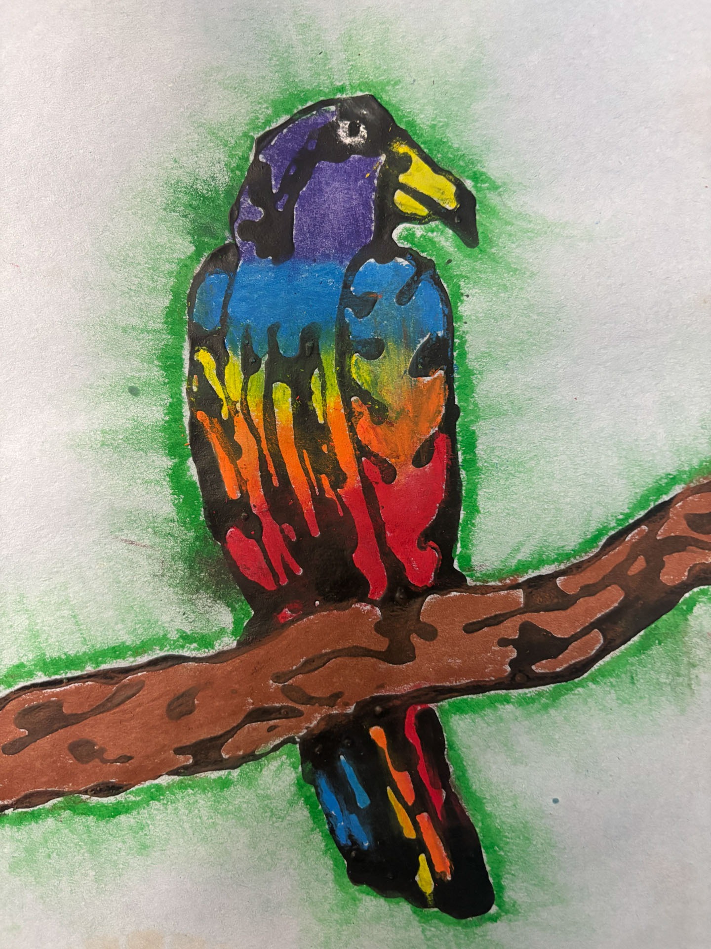 Willis Sasse, Oil Pastel Jungle Bird, 5th grade, LMS, teacher Tanya Bachman
