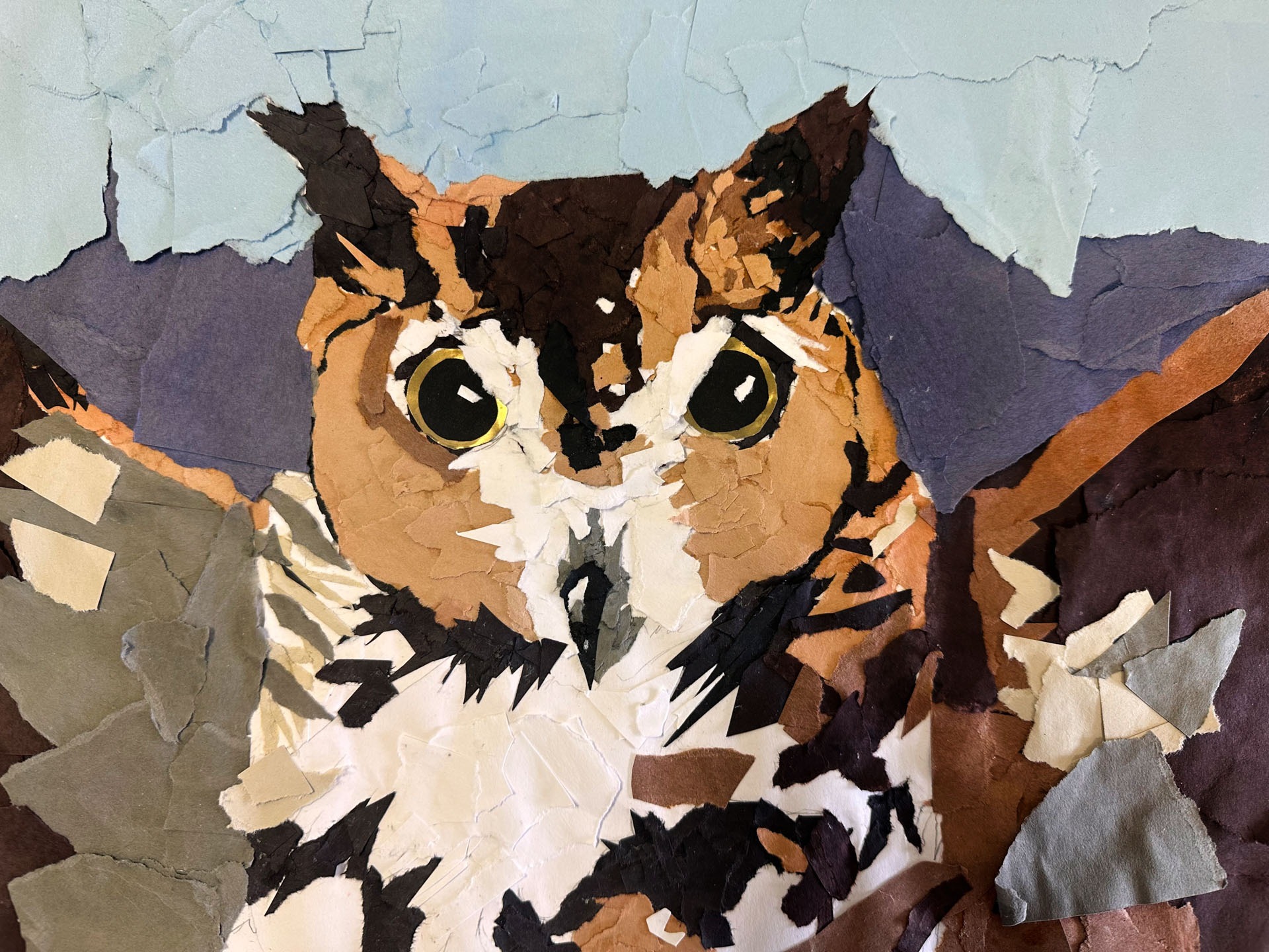 Kai'lah Santiago, Owl, 7th grade, PVM, teacher Carly Boudreau