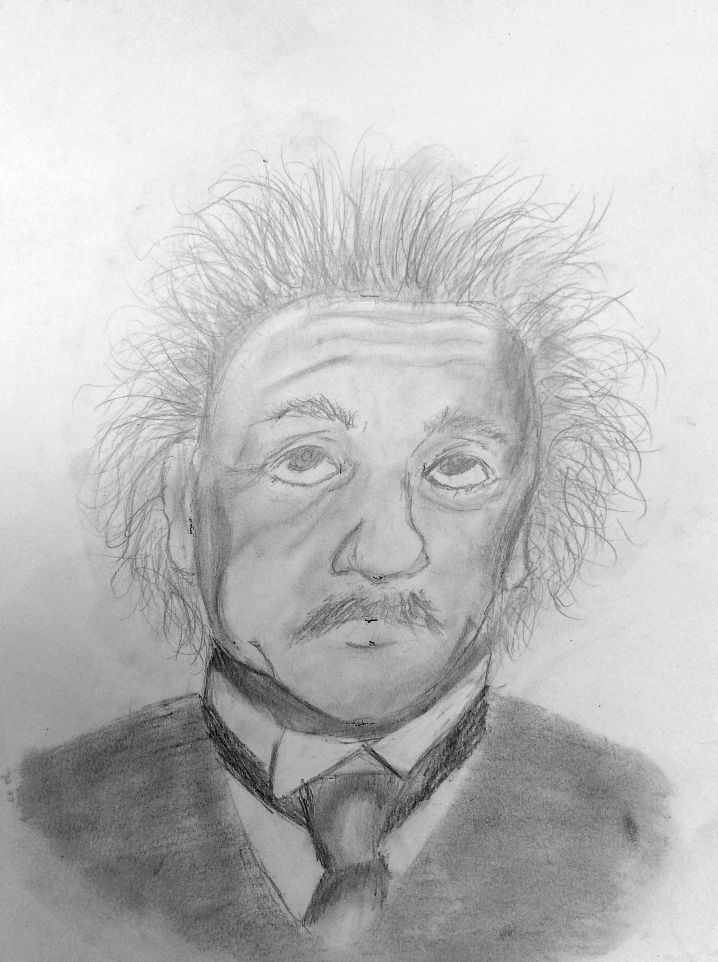 Brooklyn Fomin, Albert Einstein, 7th grade, TVM, teacher Carmen Yadon