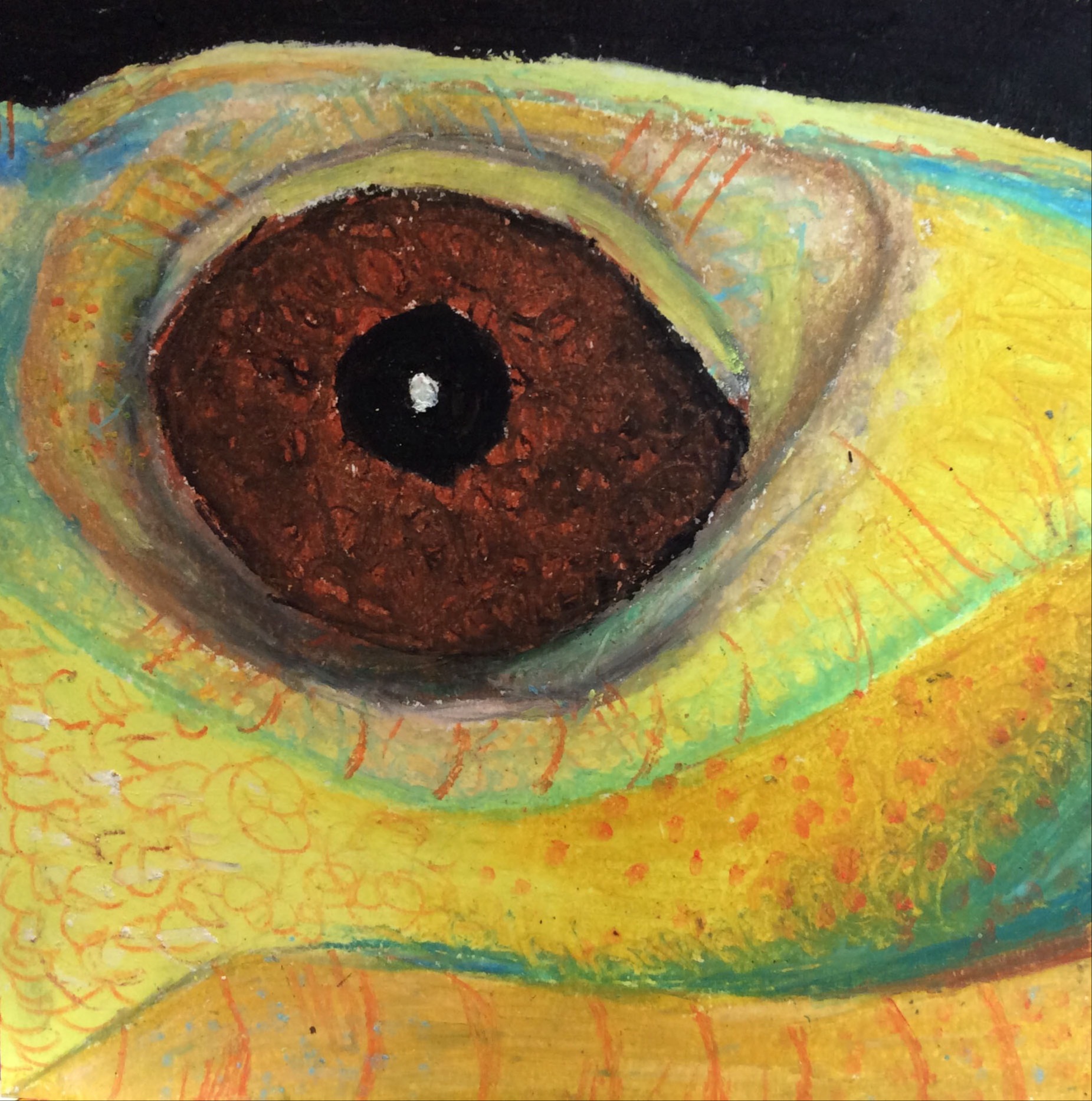 Novalee Fomin, The Eye, 8th grade, TVM, teacher Carmen Yadon