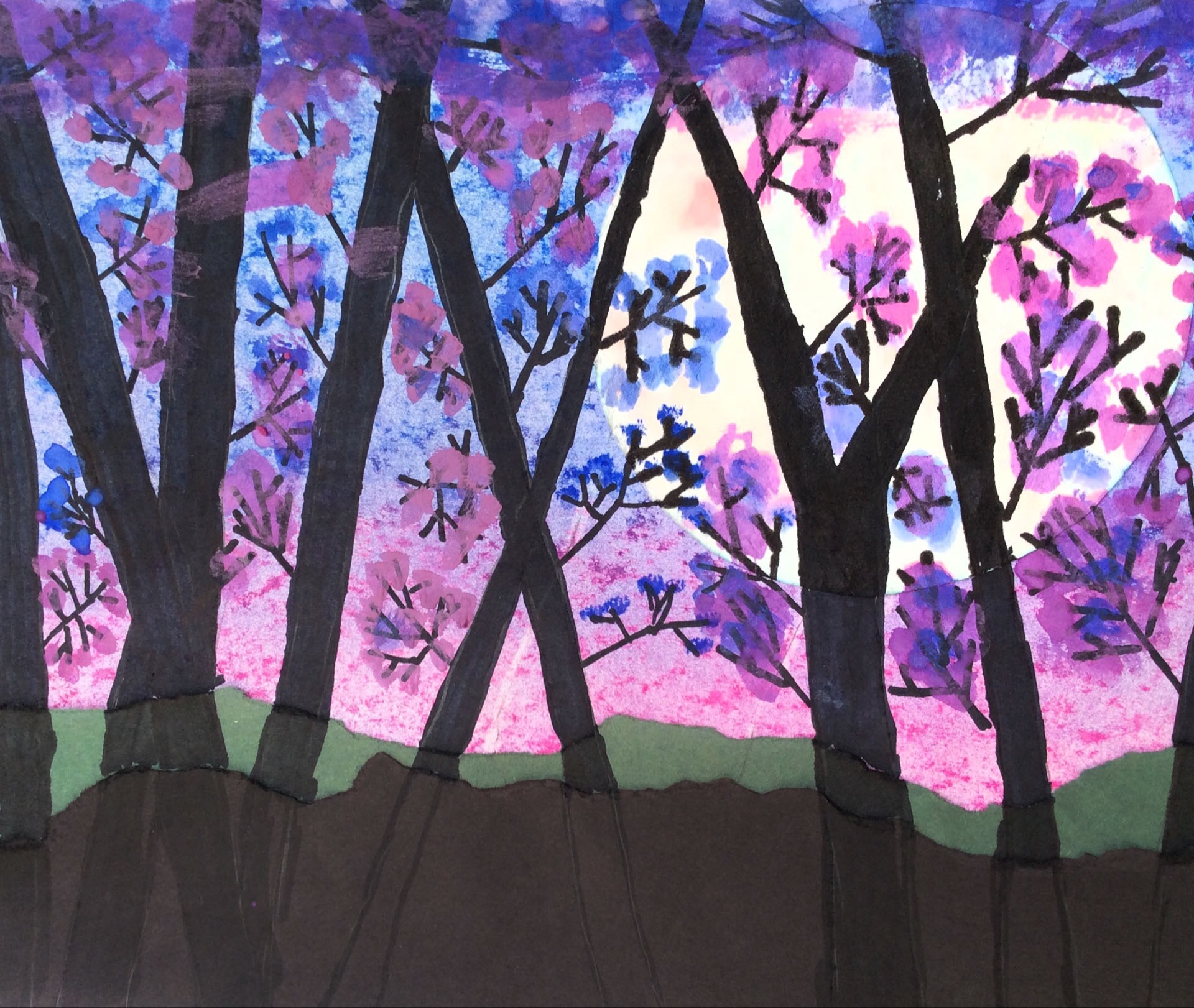 Rick Kaski, Supermoon, 6th grade, TVM, teacher Carmen Yadon