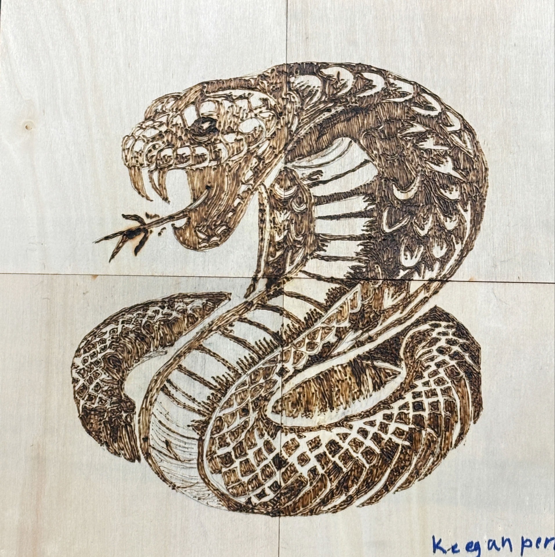 Keegan Perry, 6th grade, RHL, teacher Barb Holterman. Don't Get Burned, Pyrography (Wood Burning)