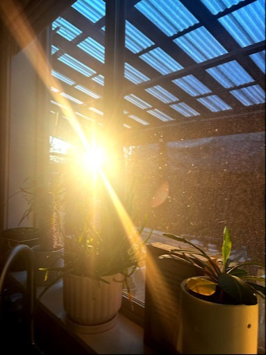 Natalie Kryukov, Sunlight, 9th grade, Summit View High School, teacher Kristie Vinyard
