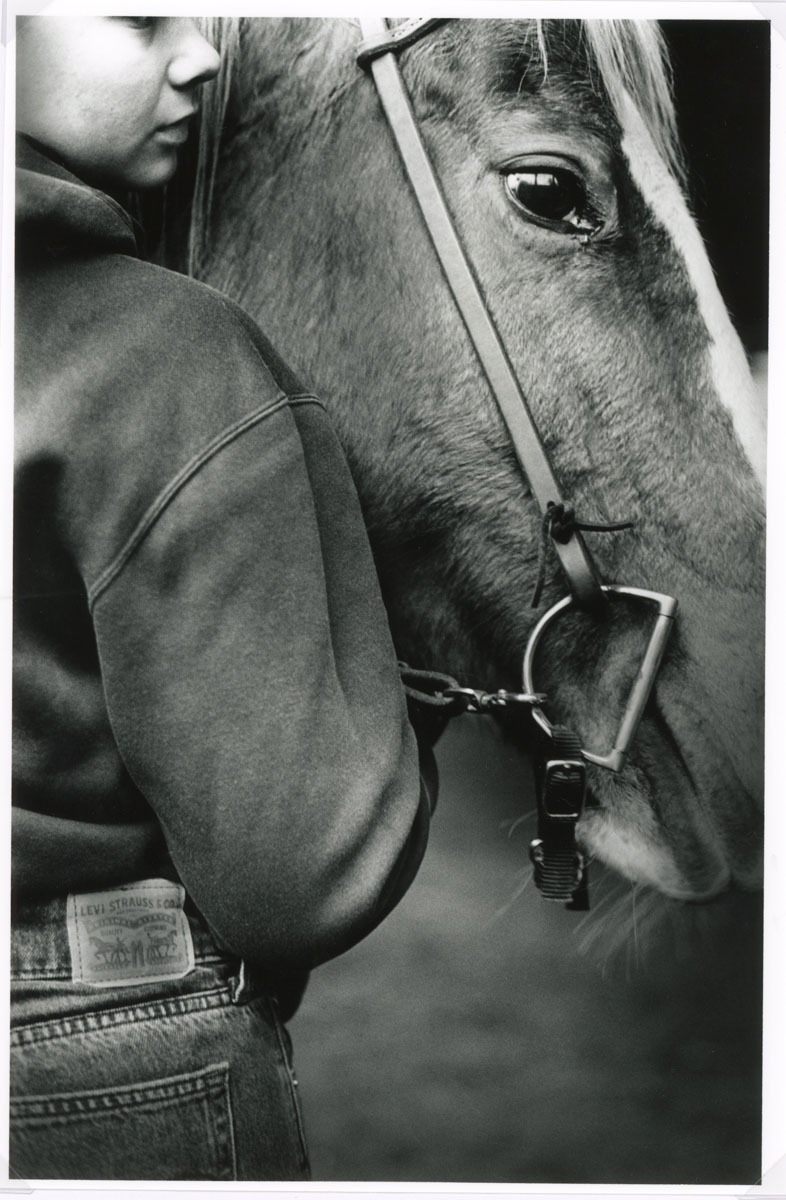 Bella Merriman, Companions, 11th grade, Battle Ground High School, teacher Annie Davern