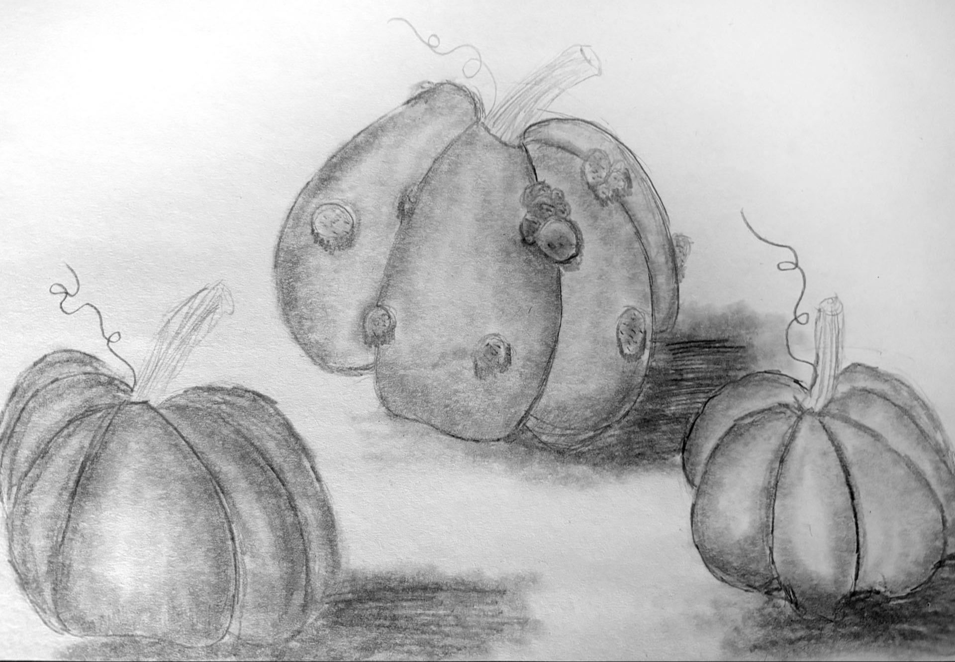 Olivia Bledsoe, October Fun!, 5th grade, LMS, teacher Tanya Bachman