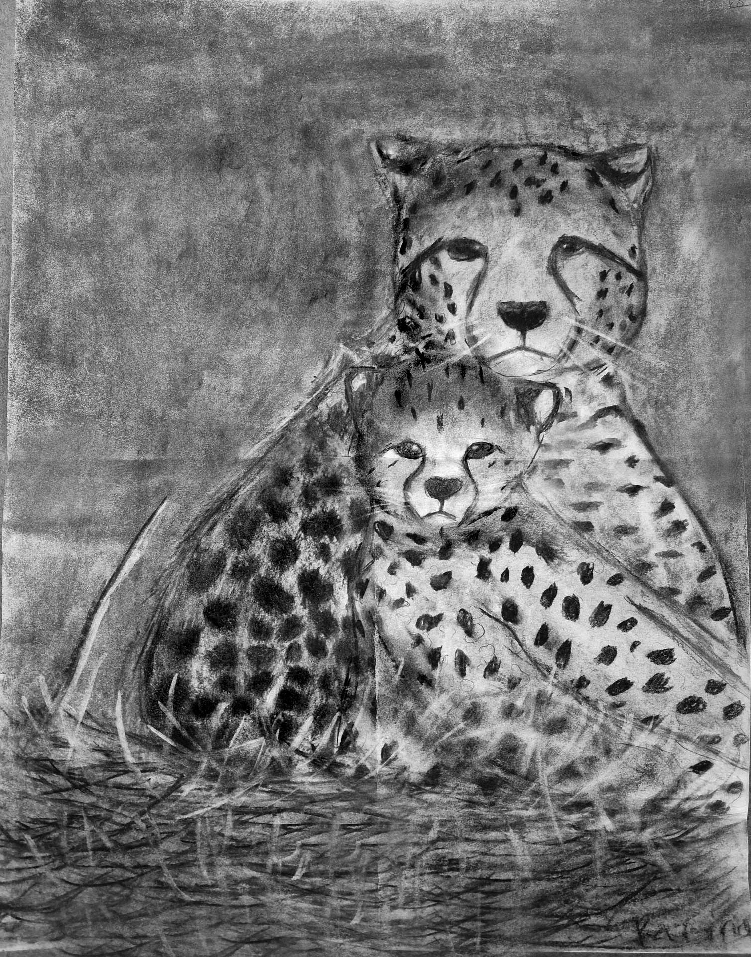 Karina Boiko, 5th grade, CAM Academy, teacher Lucinda Bancroft. Mother Cheetah. "A photographer took a picture of a mother and baby cheetah and I wanted to draw it."