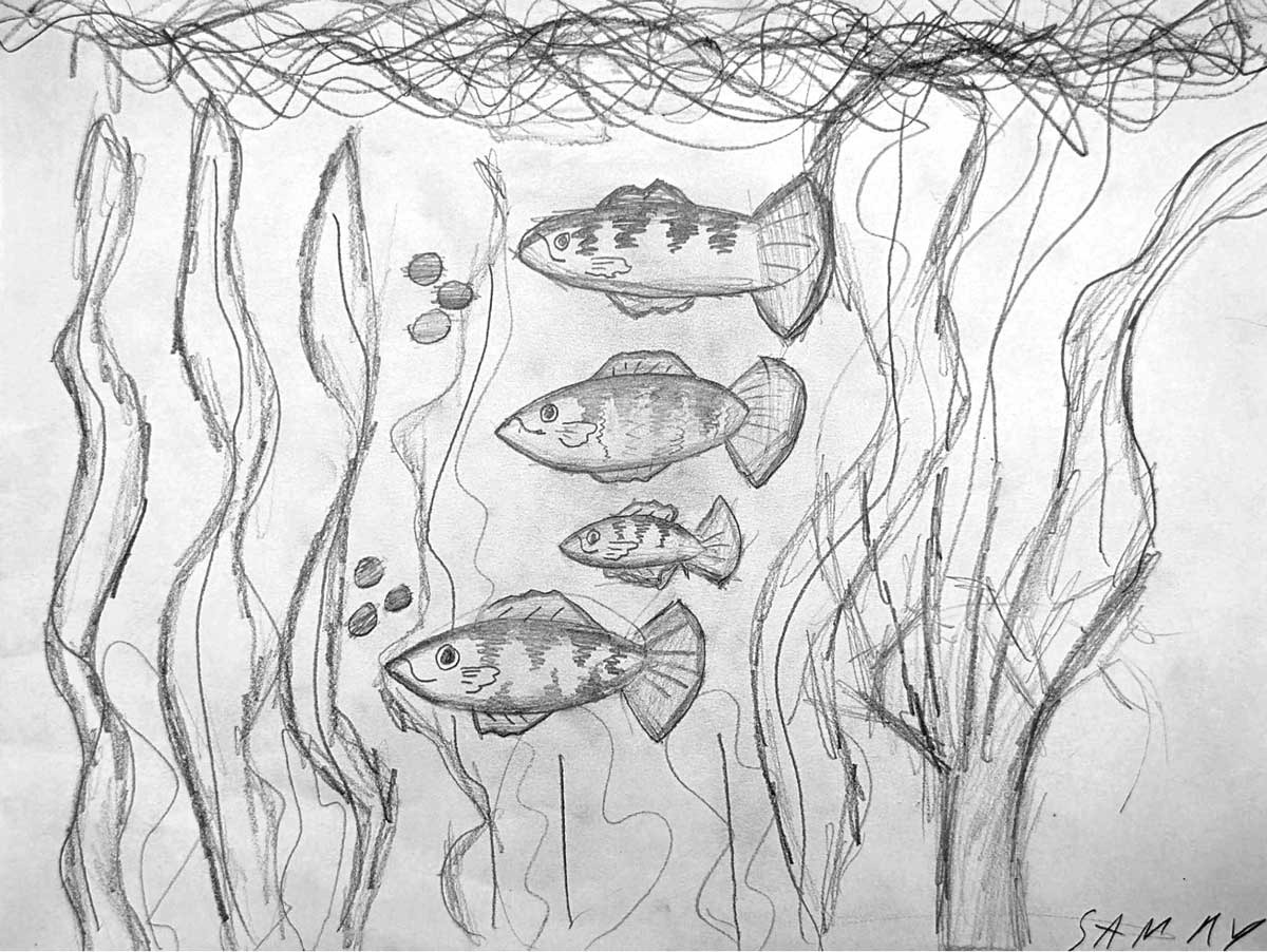 Sammy Copes, Sea of Values, 4th Grade, PVP, teacher Kellie Comstock
