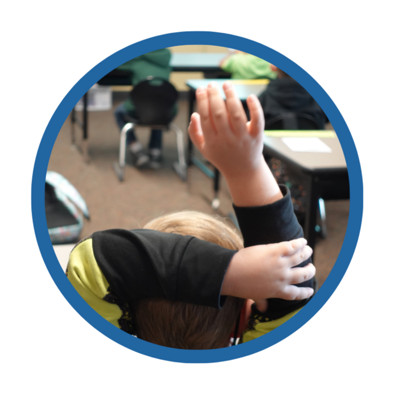 A student raises their hand in class