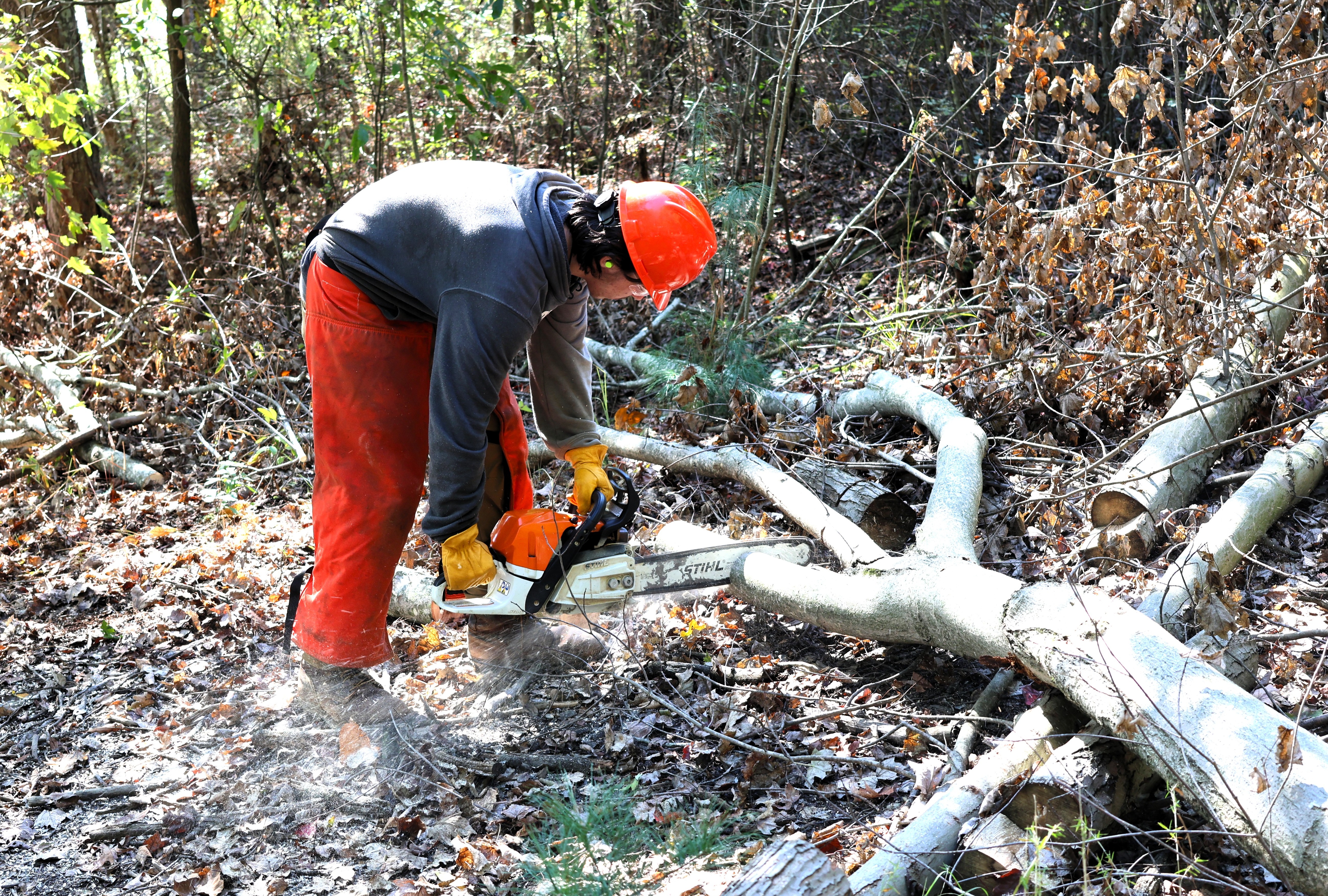 natural resource student