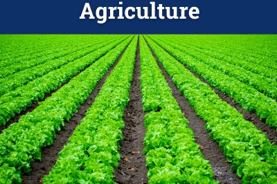 Agriculture