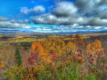 autumn scenery