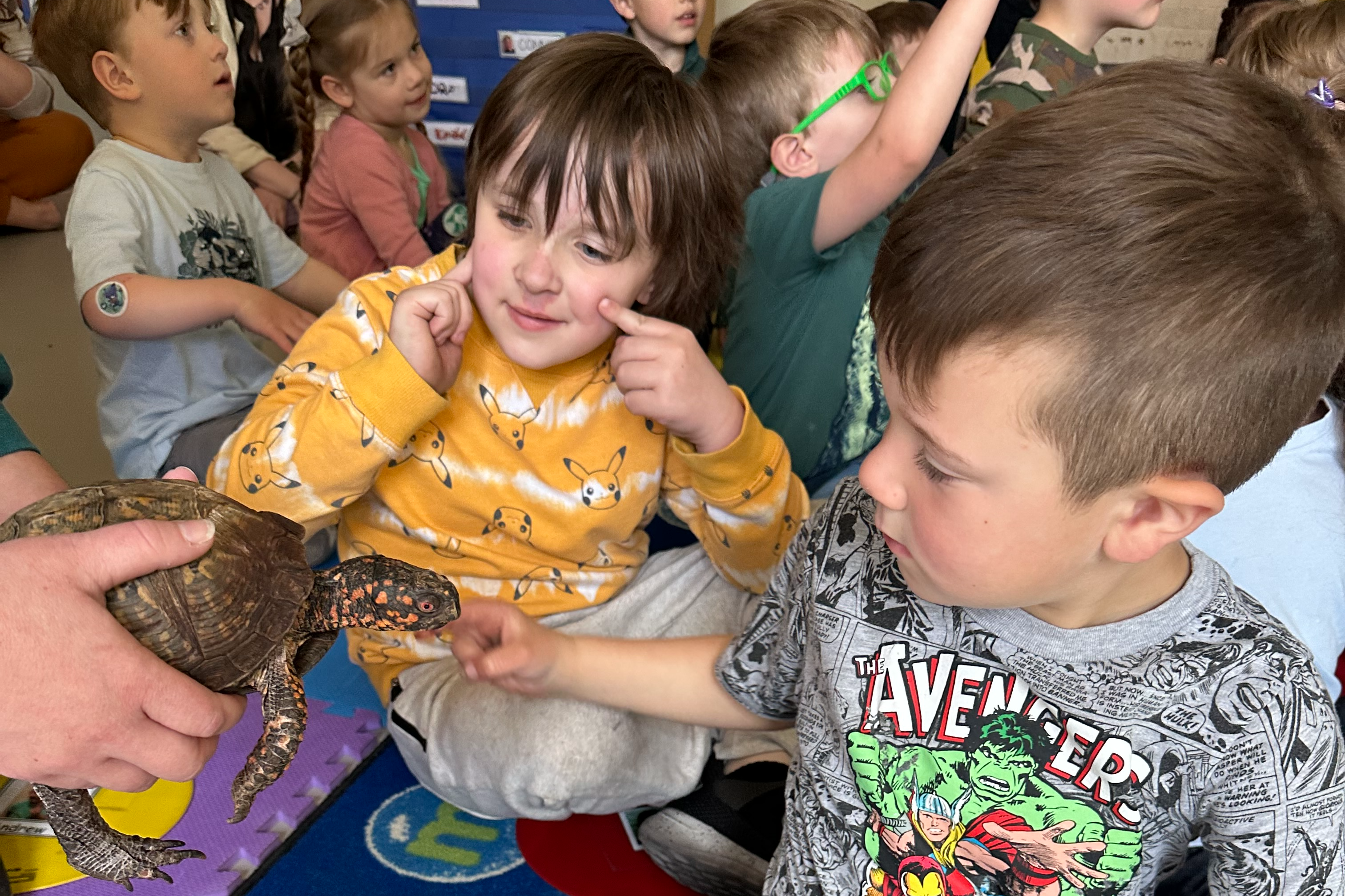 kid petting turtle