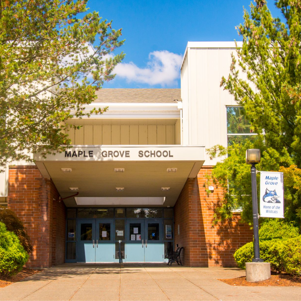 Graphic of the school's mascot, a Wildcat, and Maple Grove Primary School