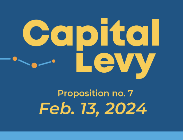 capital levy flyer