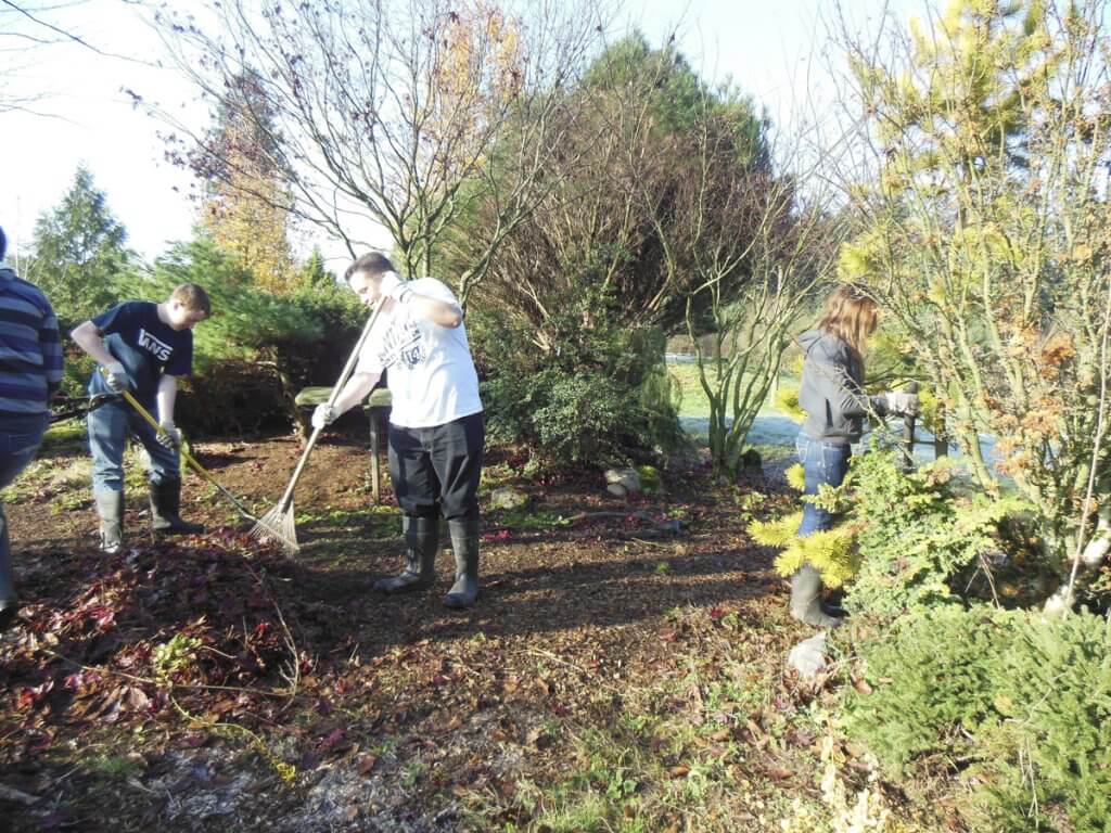 People working in a garden or yard, possibly planting or digging.