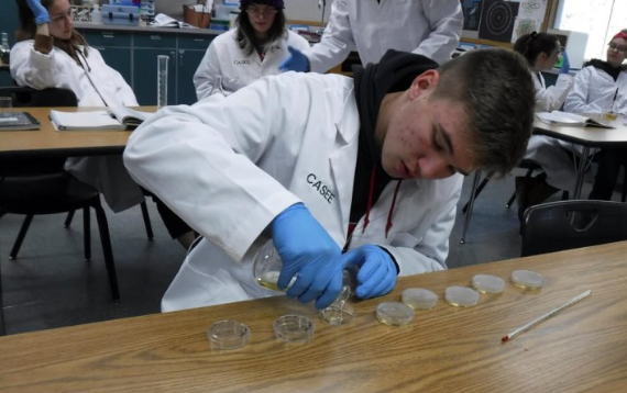 Microbiology student preparing petri dishes for lab.