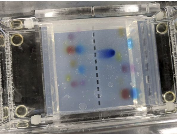 microbiology sample